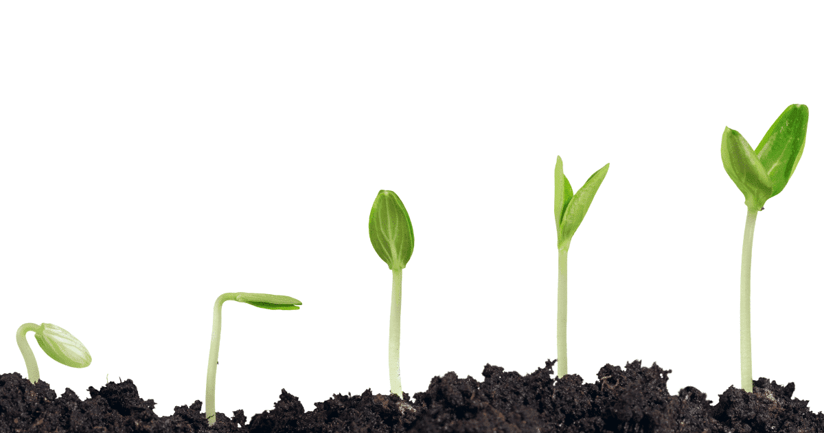 Virtual assistant for coaches to enable strategic growth