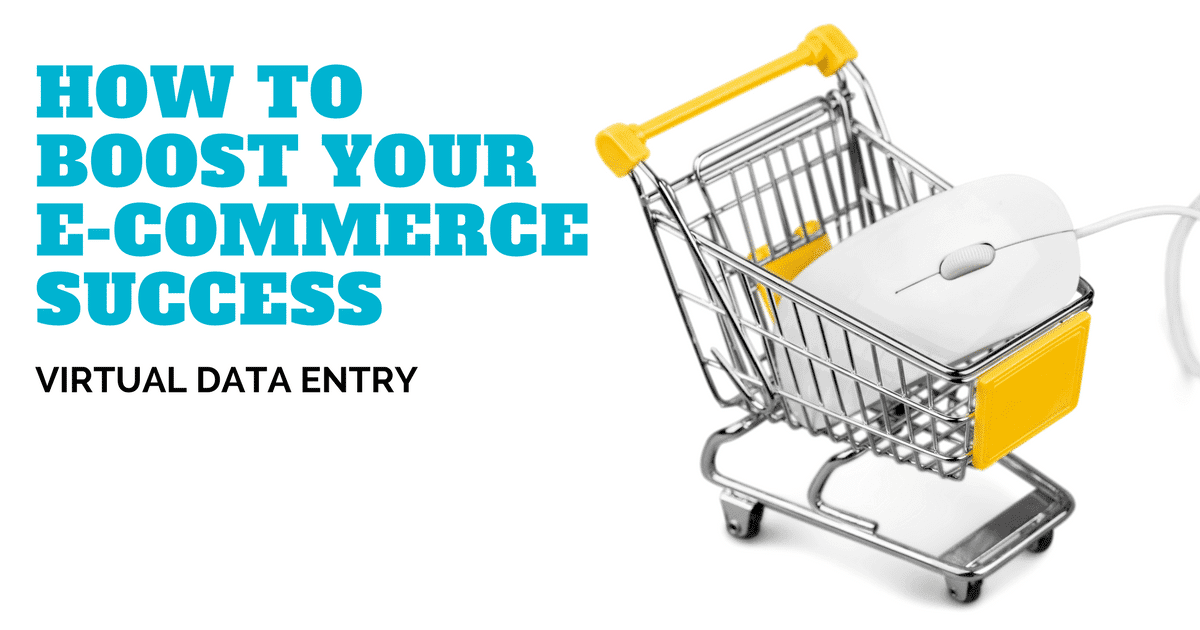 Boost your ecommerce success with virtual product data entry services