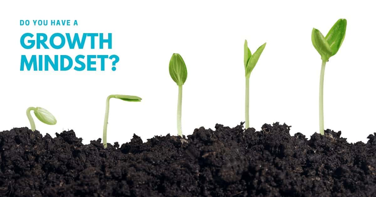 Growth mindset and the small business assistant