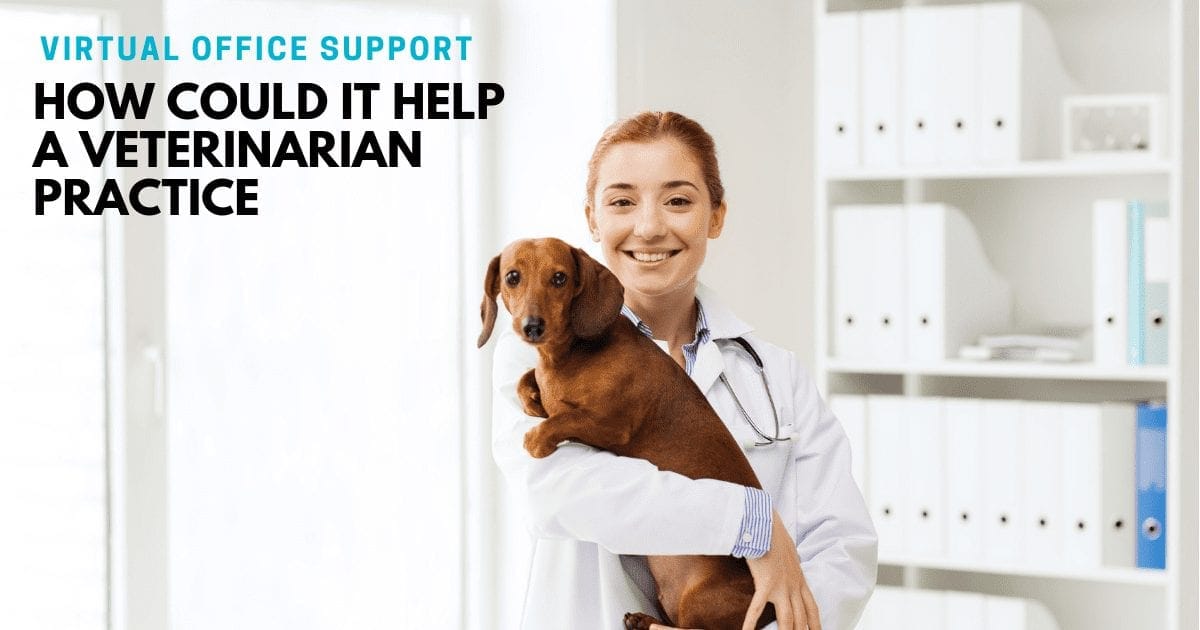 How virtual office support can help veterinarian practices