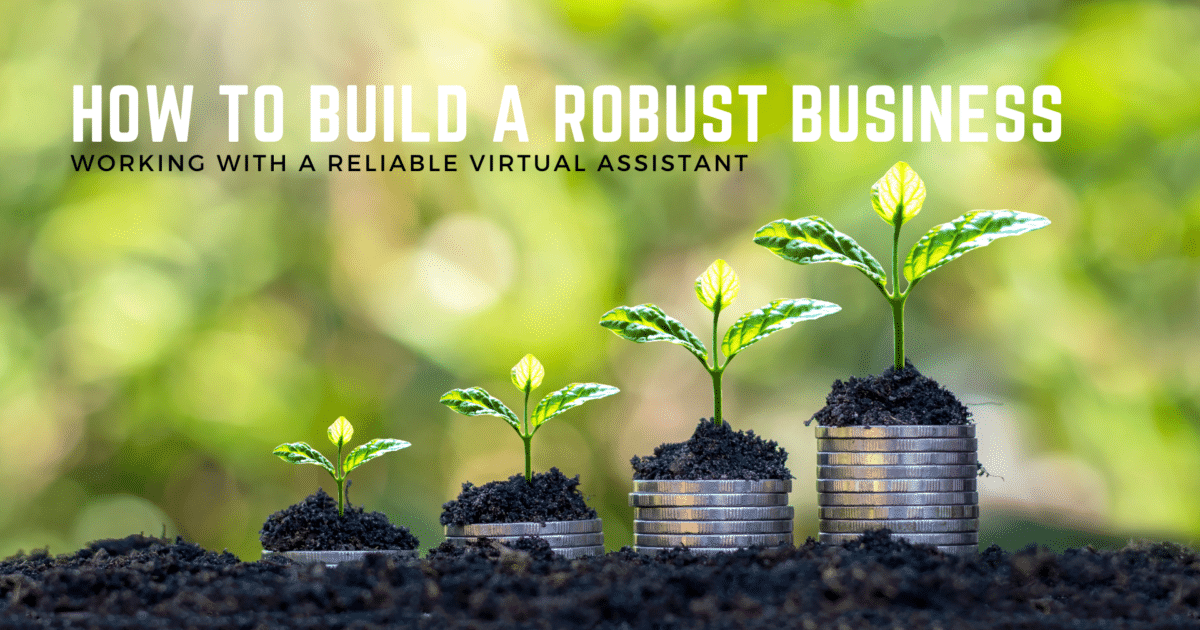 Working with a reliable virtual assistant to build a robust business