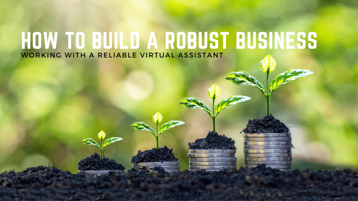 Working with a reliable virtual assistant to build a robust business